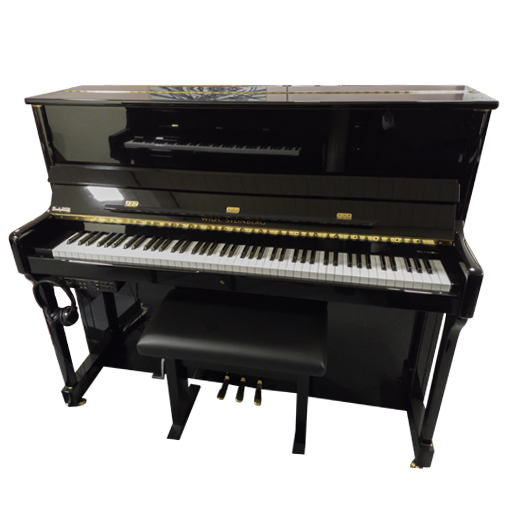 Wilh. Steinberg IQ24 Piano Silent System