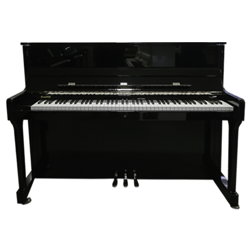 Wilhelm Steinberg Signature S117 occasion Piano